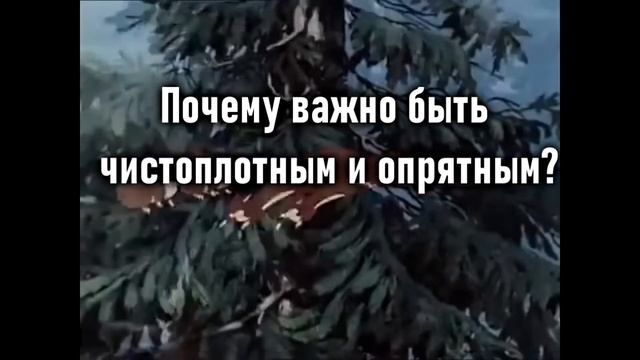 МОЙДОДЫР смотреть онлайн