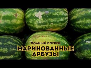 Маринованные арбузы. Полный погреб // Выпуск 4