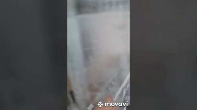 В парнике тепло. Беседка в порядке. смотреть онлайн