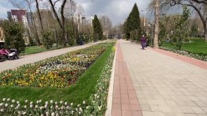 Очередная прогулка по столице Таджикистана Душанбе. Садбарг - Зелёный базар - Славянский универ.