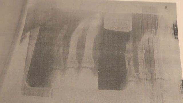 Должностные лица обслуживают интересы сотрудников магазина "Леруа Мерлен"? Часть 1. смотреть онлайн