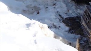 Мини экскаватор. Выбор.