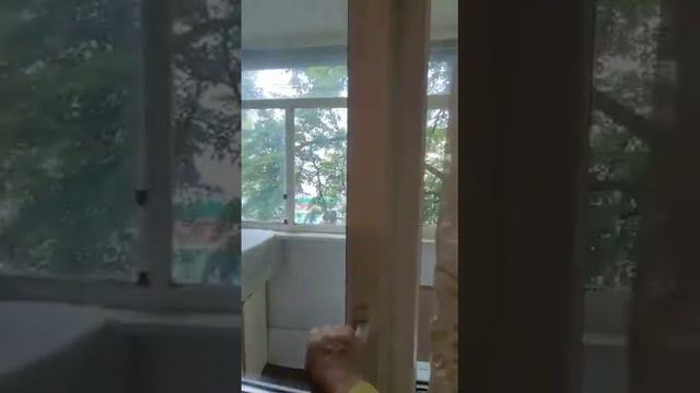 Продается трехкомнатная квартира в Белгороде | 2 Садовый переулок д.2 | ziltrest.ru