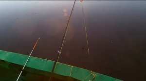 Хороший улов 1№ активная рыбалка, (Good catch 1# active fishing,)
