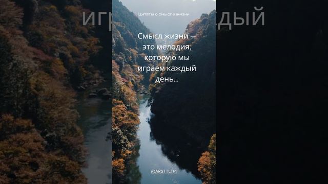 Цитаты о смысле жизни;философия античная философия; философия; что такое философия;