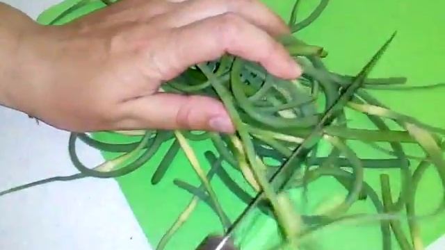 Жареные чесночные стрелки. ОЧЕНЬ ВКУСНО