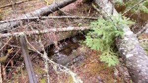 Massive Railroad 1,500' Trestle Deep In The Forest Of Maine 90 Yrs Abandoned