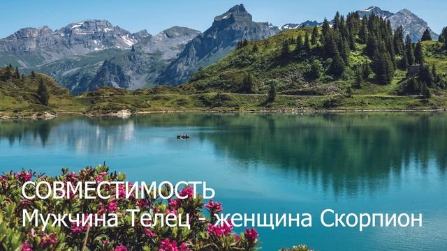 Совместимость мужчины Тельца и женщины Скорпиона.