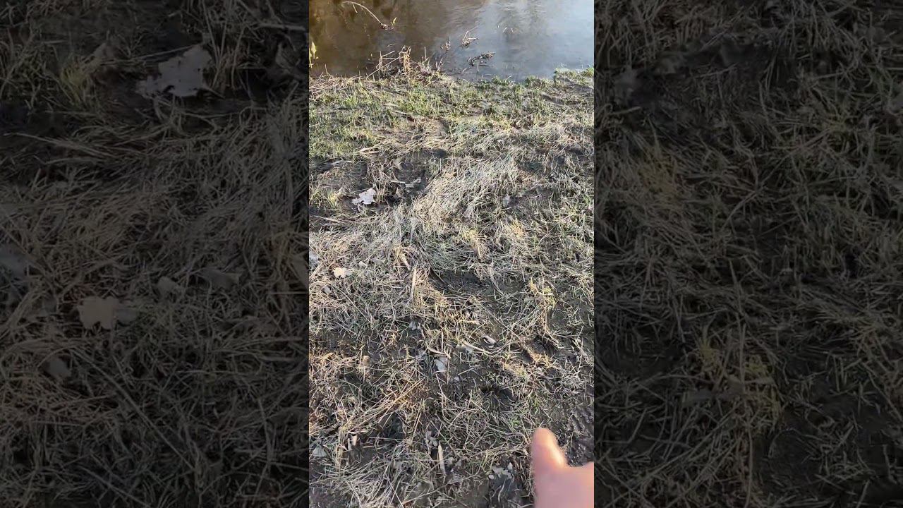 Вода уходит.Ловля уклейки #уклейка