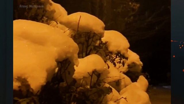 Харьков сегодня.Заснеженные улицы города.Ноябрь,2023