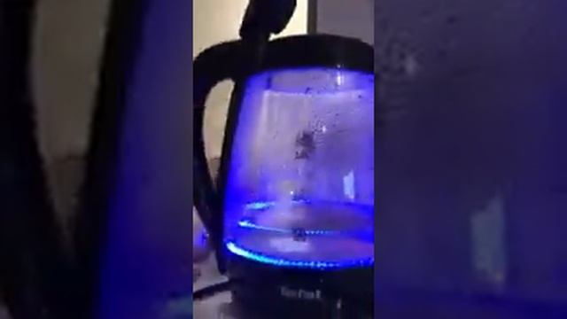 Обзор Чайник Tefal KO450832 из сулпак смотреть онлайн