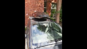 Бокс Diamond 500 черный глянец