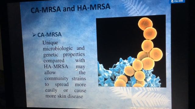 MRSA - Methicillin-resistant Staphylococcus aureus II Beta -Lactamase II Penicillin  Antibiotics смотреть онлайн