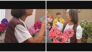 "Мир флоксов 2022": Победитель Сталкер и другие сорта, снятые с разных камер