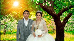 Цыганская свадьба Вани и Дияны  г.Фролово  2 часть