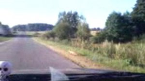 Бешеная лиса нападает на машину.