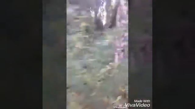 Первый влог!!! Лохнеское чудовище у нас в Чолпон- Ате!!! Как провести время быстро и весело.