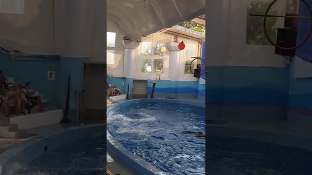 Как прекрасен этот мир- посмотри! смотреть онлайн