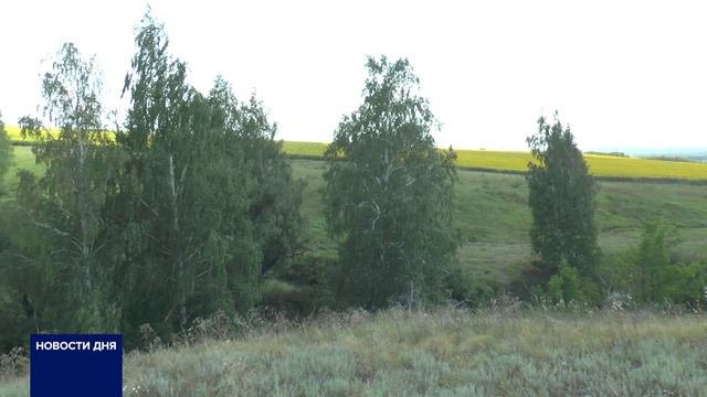 НА ЗАПАДЕ ОРЕНБУРГСКОЙ ОБЛАСТИ НАЙДЕНЫ ОСТАНКИ ДРЕВНЕГО ЯЩЕРА