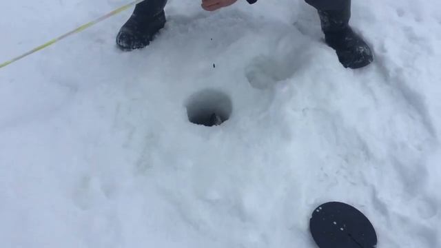 Видеообзор сегодняшней рыбалки в Симбухово !!! смотреть онлайн