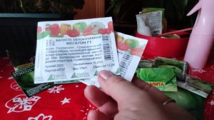 ЛУЧШИЕ СОРТА КАПУСТЫ! Выбираем для посева на Рассаду! Эти сорта всегда Удачны.