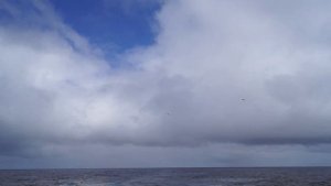 Пролив Дрейка. 00012