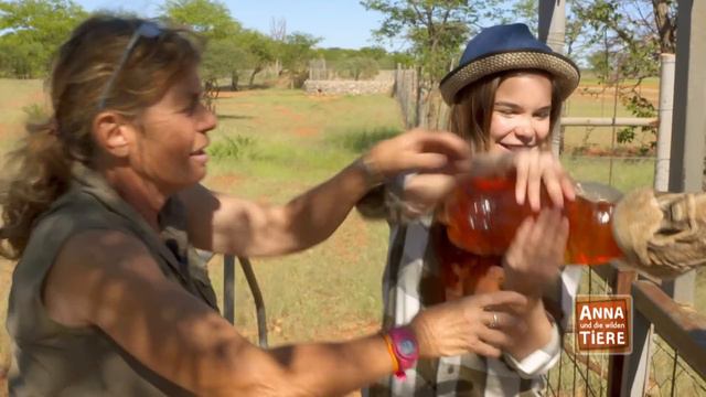 Die Zunge der Giraffe | Reportage für Kinder | Anna und die wilden Tiere смотреть онлайн
