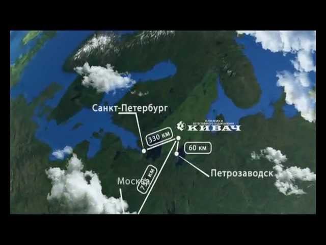 Клиника "Кивач". Очищение организма на клеточном уровне смотреть онлайн