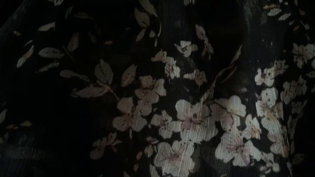 My Shopping