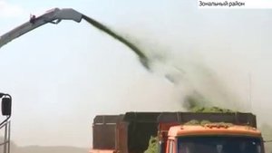 В поселке Октябрьский Зонального района нашли альтернативу