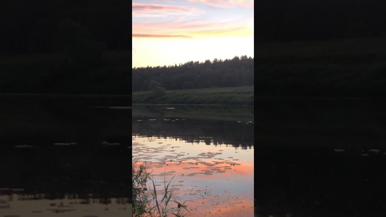 ВОТ ОНА НАСТОЯЩАЯ РЫБАЛКА #рыбалка смотреть онлайн