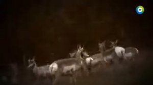 Земля. Территория загадок. Тайна Башни Дьявола