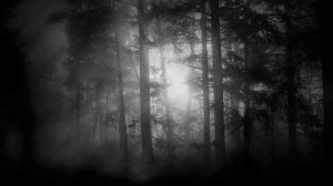 Новый сериал Ален и Лии