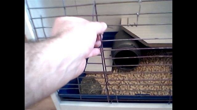 Клетка для шиншиллы своими руками