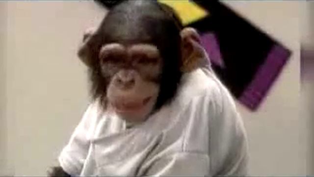 искусство поцелуя смотреть онлайн