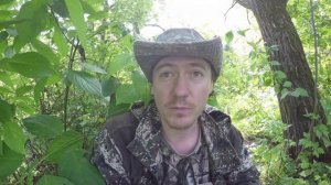 Полевой обзор книги Птицы Москвы и Подмосковья