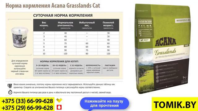 СРОЧНО! Купите корм АКАНА для КОШЕК получите ПОДАРОК l TOMIK.BY Acana Grasslands +АКЦИЯ смотреть онлайн