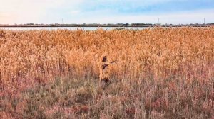 Костюм Леший