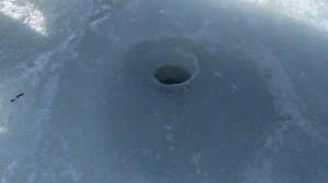 Верх-Нейвинский пруд ловля подлещика