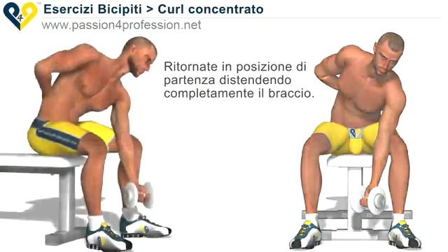 сгибание рук с гантелями бицепс) смотреть онлайн