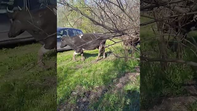Семейный отдых на природе / пикник / рыбалка