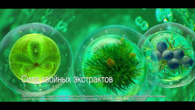 LesBalsam_07.04_20''_10 Mbit.mp4 смотреть онлайн