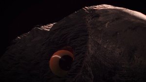 Презентация птички - Чикабумчик