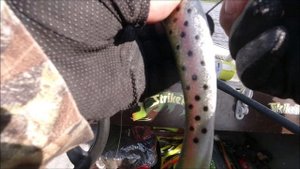 Силиконовая приманка Svartzonker Big McRubber 29 The Pelagic