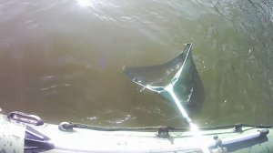 Супер рыбалка, Ловим гигантэл!!! Усть шиш 10