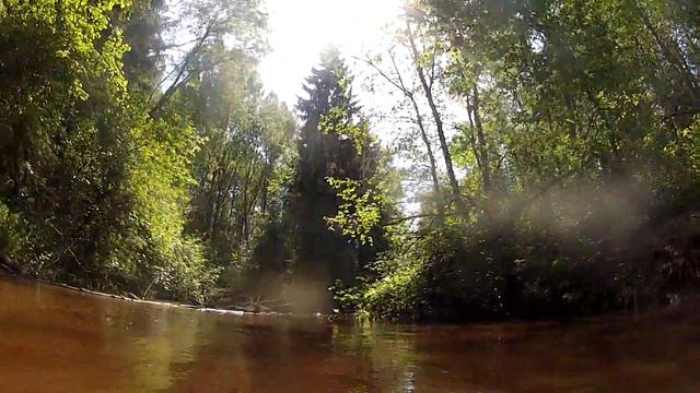 River SUP в Охтинских джунглях. смотреть онлайн