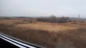 Прибытие поезда на станцию Арзамас-1