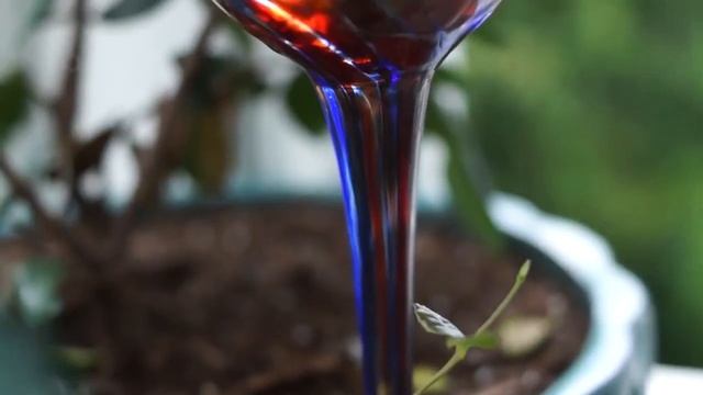 Автолейка для комнатных домашних растений смотреть онлайн