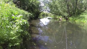 Ловля голавля на нахлыст