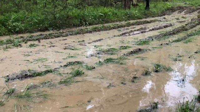 Уаз Патриот & Нивы на легком бездорожье смотреть онлайн